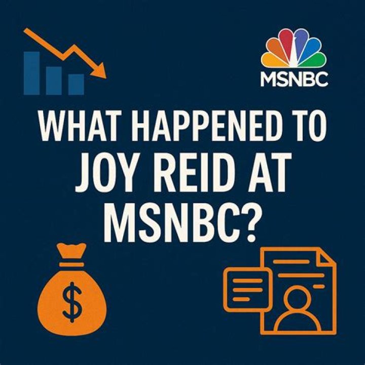 
Is Joey Reid Leaving MSNBC? Rumors Say She Got Fired For Racist Remarks 